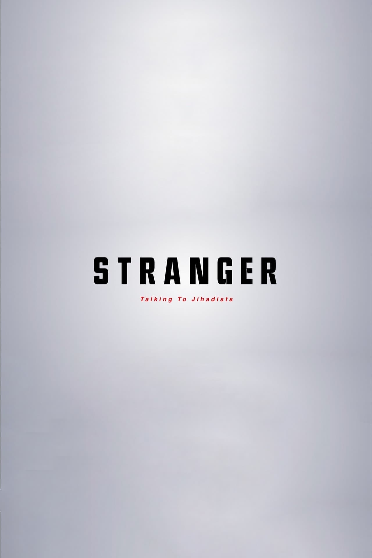 《陌生人——柴静对话圣战分子》